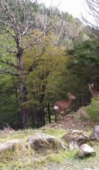 6月の遊び予定【2021年】