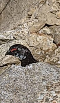 6月のお山記録　その①（せがれ）
