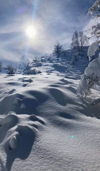 1月の遊び予定【2022年】