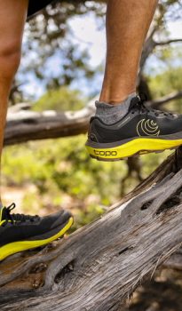 6月16日（日）　イベント出店のお知らせ