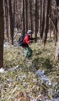 2024年 年内の営業日のお知らせ