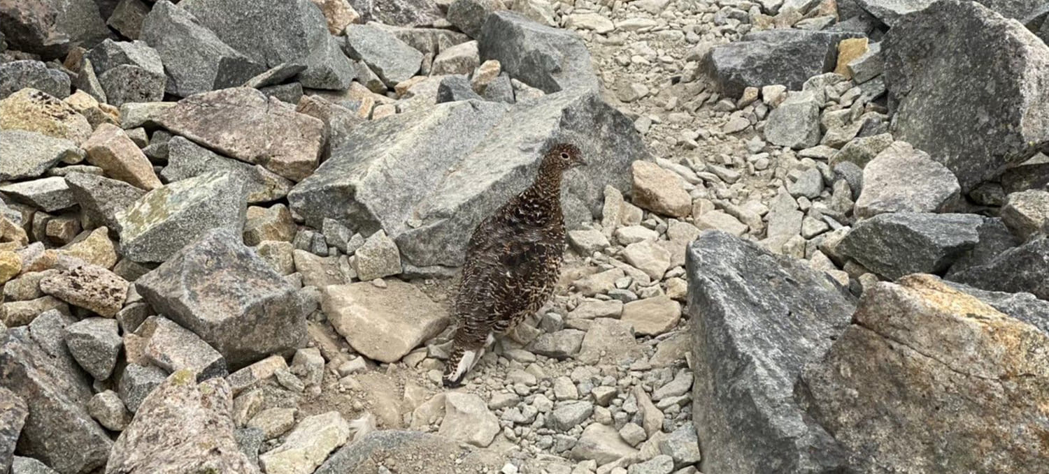 長野県松本市のSunny Site